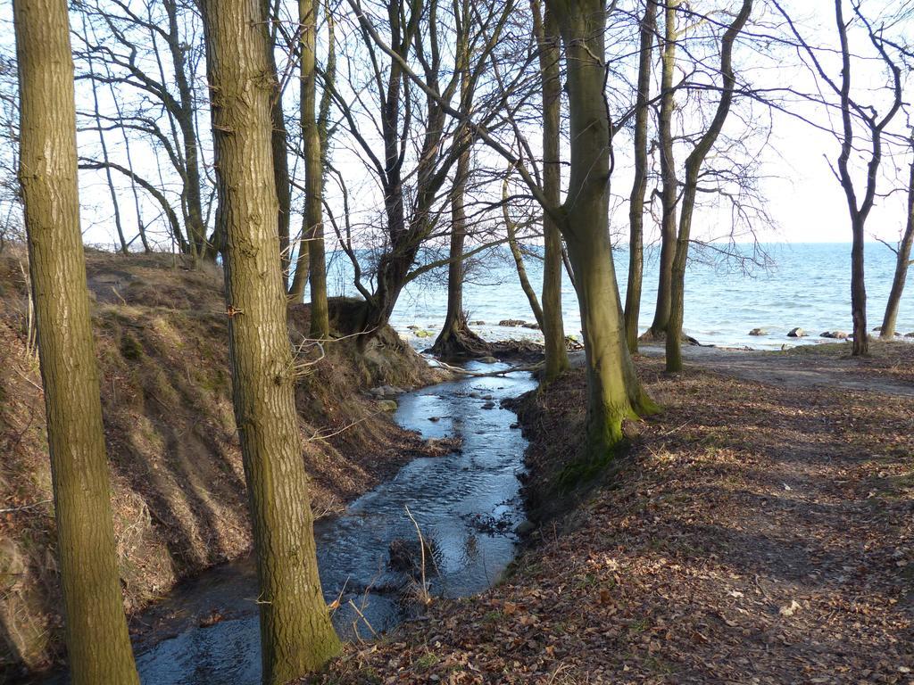 Loft Sierksdorf Leilighet Rom bilde